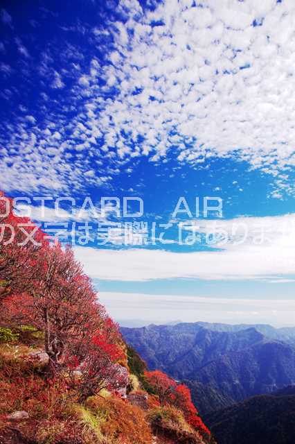 【日本の風景ポストカードのAIR】愛媛県 西条市 石鎚山の秋