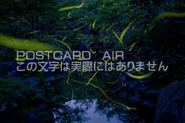 【日本の風景ポストカードのAIR】京都府 相楽郡 精華町ホタルの乱舞のポストカード葉書はがきハガキ　Photo　by絶景.com