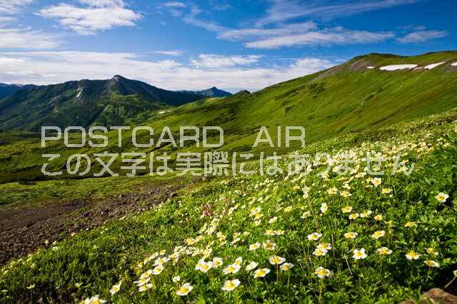 富山県 富山市　チングルマ咲く立山連峰 のポストカード葉書はがきハガキ　Photo　by絶景.com