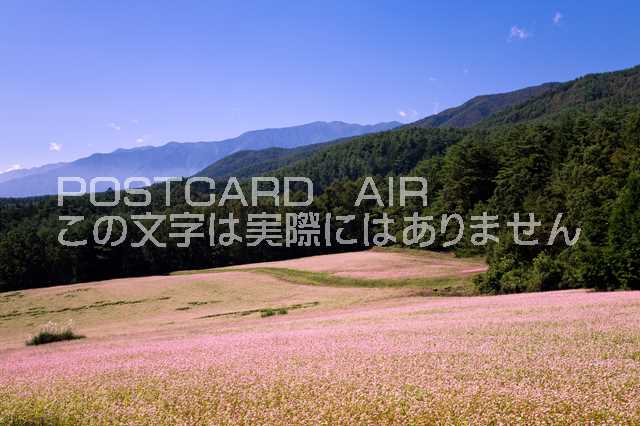 【日本の風景ポストカードのAIR】長