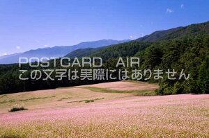 【日本の風景ポストカードのAIR】長野県 上伊那郡箕輪町 赤そばの里のポストカード葉書はがきハガキ Photo by絶景.com