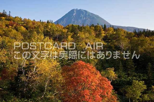 【日本の風景ポストカードのAIR】北海道　知床知床峠の紅葉と羅臼岳のポストカード葉書はがきハガキ　Photo　by絶景.com