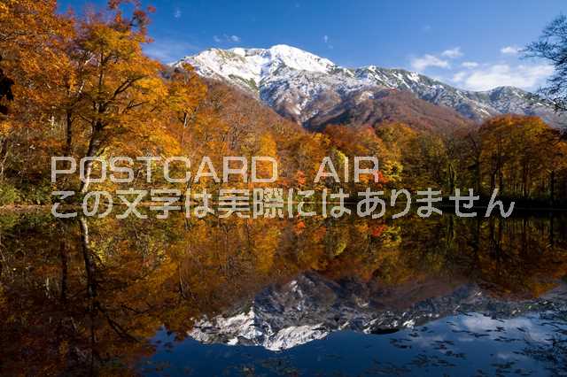 【日本の風景ポストカードAIR】刈込池の紅葉と白山＠福井県大野市 Photo　by絶景.com葉書はがきハガキ