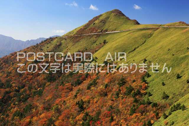 【日本の風景ポストカードAIR】瓶ヶ森の秋＠高知県吾川郡いの町 Photo　by絶景.com葉書はがきハガキのサムネイル