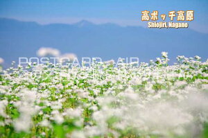 【日本の観光地ポストカードのAIR】「高ボッチ高原　Shiojiri, Nagano」長野県のポストカード絵葉書ハガキpostcard-photo by 絶景.com