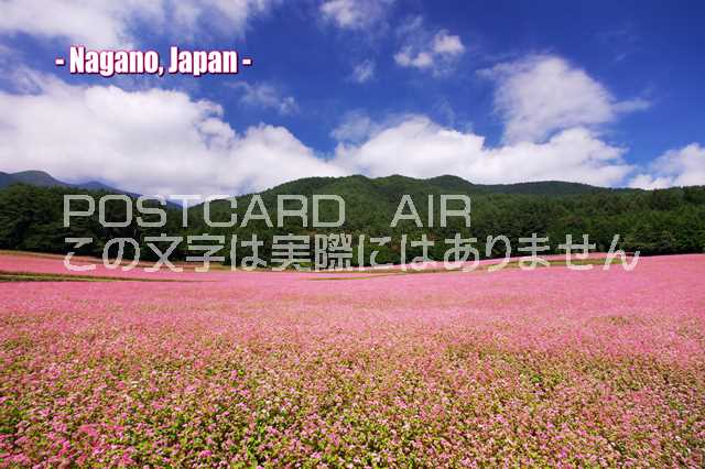 【日本の観光地ポストカードのAIR】「Nagano, Japan」日本長野県のポストカード絵葉書ハガキpostcard-photo by 絶景.com