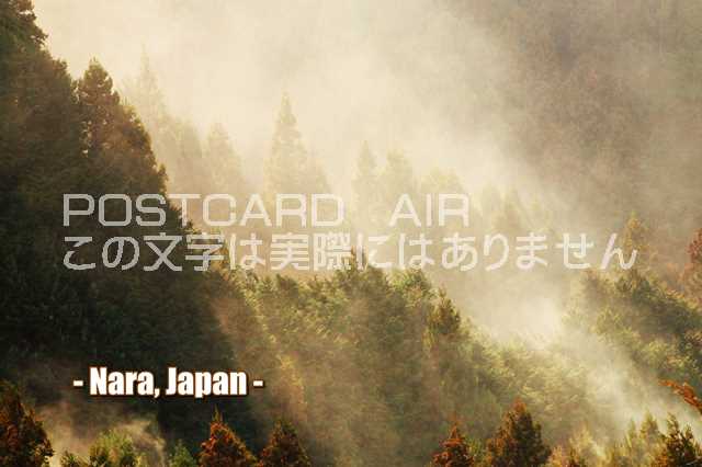 【日本の観光地ポストカードのAIR】「Nara, Japan」奈良県の桜の絵葉書ハガキpostcard-photo by 絶景.com