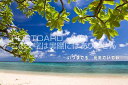 メッセージ入りポストカード「いつまでも 元気でいてね」沖縄の海ハガキpostcard-photo by 絶景.com