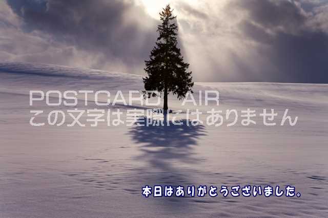 ݥȥAIR㤨֡ڴոդƤΥݥȥɤAIRۡϤ꤬Ȥޤ̳ƻΥϥpostcard-photo by .comפβǤʤ165ߤˤʤޤ