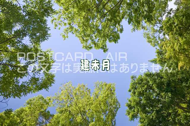 ΰβ