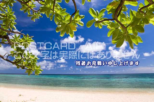 ݥȥAIR㤨֡ڲƤεΰݥȥɤAIRֻۡĽ뤪񤤿夲ޤײΥӡĶΥϥսpostcard-photo by .comפβǤʤ165ߤˤʤޤ