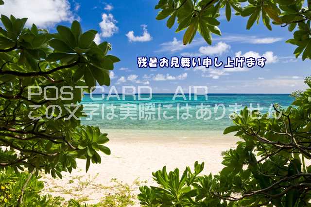 ݥȥAIR㤨֡ڲƤεΰݥȥɤAIRֻۡĽ뤪񤤿夲ޤײΥӡĶΥϥսpostcard-photo by .comפβǤʤ165ߤˤʤޤ