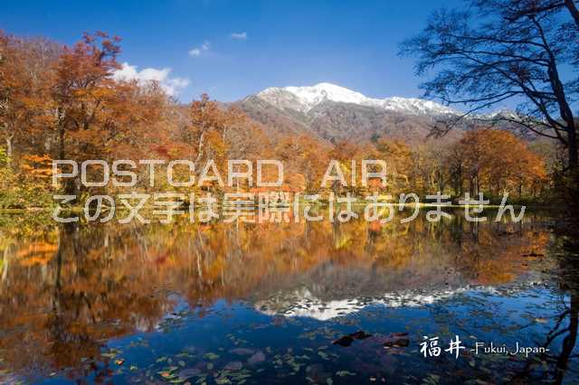 【日本の観光地ポストカードのAIR】「福井　Fukui, Japan」紅葉と湖はがき・葉書・ハガキphoto by 絶景.com