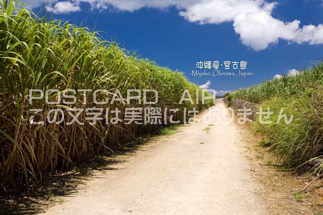 【日本の観光地ポストカードのAIR】「沖縄県・宮古島 Miyako, Okinawa, Japan」道はがき・葉書・ハガキphoto by 絶景.com