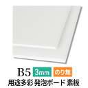 スチレンボード 発泡スチロール 板 3mm B5 （182×257mm） PSボード のりなし 素板 発泡 パネル スチレン ボード 板 3mm B5 模型 工作 POP 看板芯材