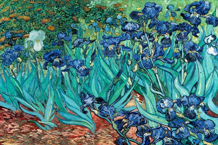 ゴッホ ポスター Van Gogh (Les Irises)【211025】