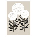 【A3】ELOISE RENOUF - THREE STEMS (natural) アートプリント / ポスター 北欧 インテリア アブストラクト a3 art...
