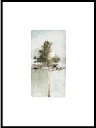 【30x40cm】JORGEN HANSSON - The Pine no.2 アートプリント/アートポスター 北欧 スウェーデン パイン 松