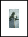 【30x40cm】JORGEN HANSSON - The Pine no.3 アートプリント/アートポスター 北欧 スウェーデン パイン 松