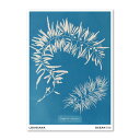 【A2】LOUISIANA - ANNA ATKINS - SARGASSUM PLUMOSUM (1843-1853) アートプリント/アートポスター 北欧 ...