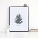 【A4】LOVELY POSTERS - PINE CONE PRINT アートプリント/ポスター 北欧 シンプル おしゃれ メール便送料無料