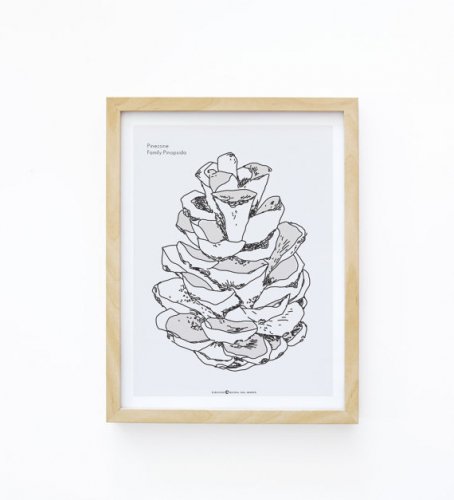 【30x40cm】MICUSH - PINE CONE ART PRINT (AP011) | アートプリント ポスター シンプル インテリア おしゃれ