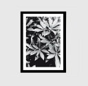 【A4】LACE & STRIPES - FLORA PRINT アートプリント / ポスター メール便送料無料 北欧 雑貨 ウォールインテリア おしゃれ リビ...