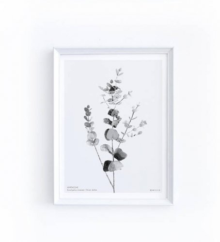 【30x40cm】MICUSH - HOUSEPLANT WALL ART PRINT (AP08) | アートプリント ポスター シンプル インテリ..