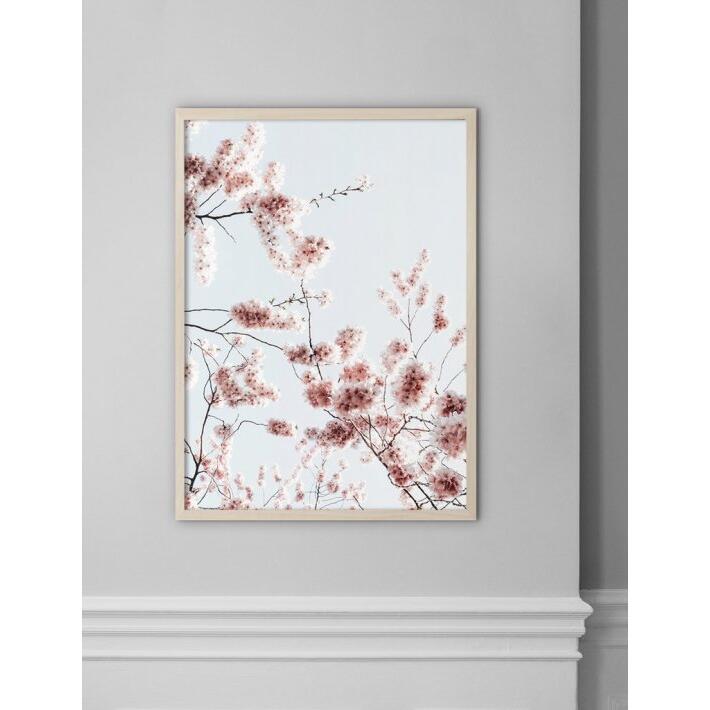 【A3】NOUROM - SAKURA #3 | 北欧 ポスター スウェーデン アブストラクト アート アートポスター ポス..