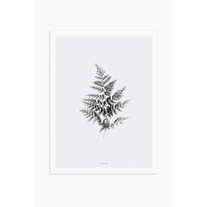 【30x40cm】MICUSH - BLACK AND WHITE FERN ART PRINT | アートプリント ポスター ...