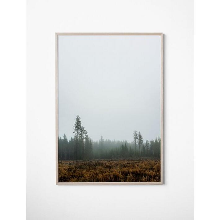 【70x100cm】FINE LITTLE DAY - SKOG POSTER アートプリント / ポスター 北欧 インテリア リビング スウェーデン アート ...
