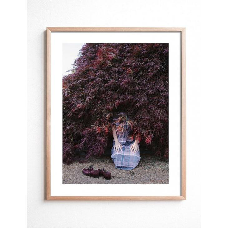 【40x50cm】FINE LITTLE DAY - I FOUND A BUSH WHERE I’LL LIVE NOW POSTER アートプリント/ポスタ...