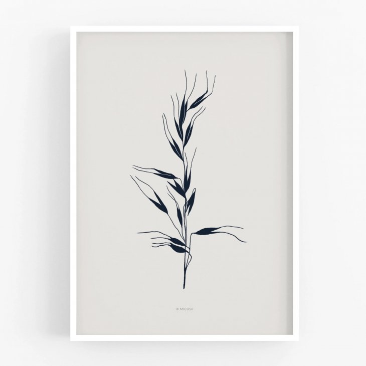 y30x40cmzMICUSH - BOTANICAL SILHOUETTE - AVENA SATIVA ART PRINT (AP143) | A[gvg |X^[ Vv CeA 