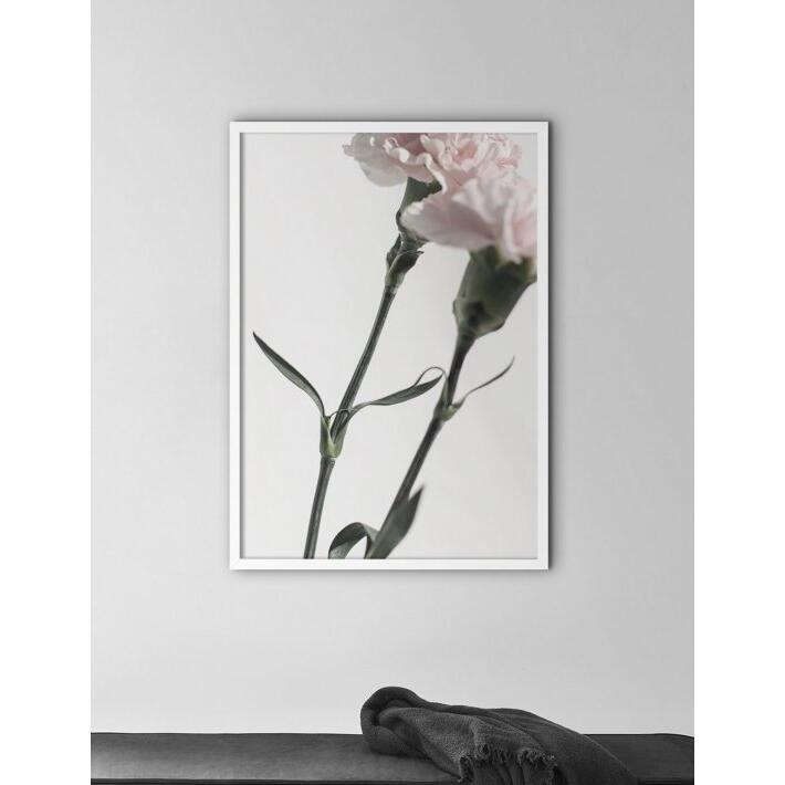【A3】NOUROM - CARNATIONS #1 | 北欧 ポスター スウェーデン アブストラクト アート アートポスター ポスター インテリア オシャレ おしゃれ 壁紙