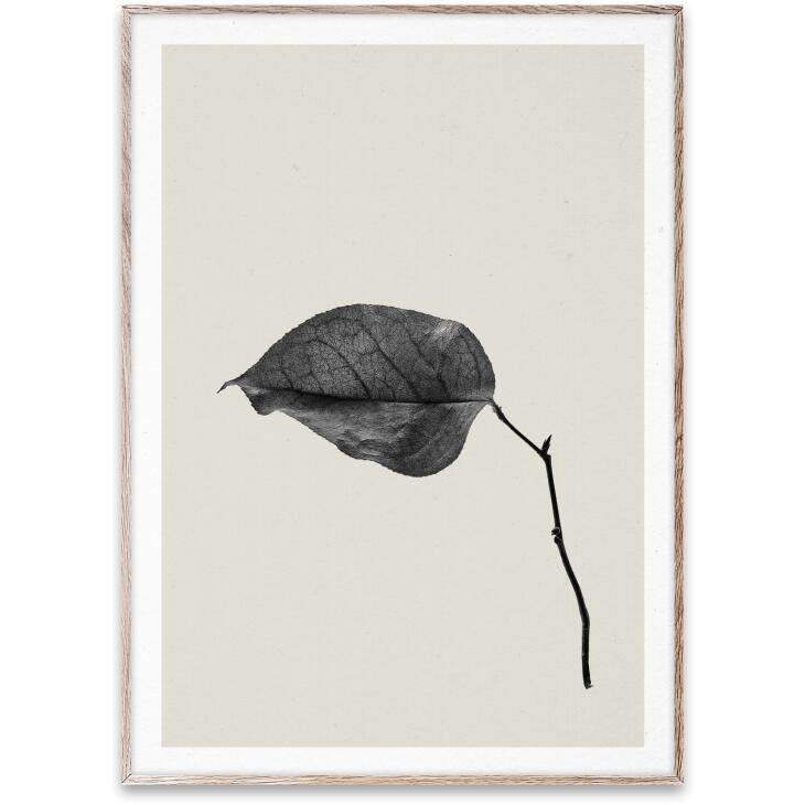 y30x40cmzPAPER COLLECTIVE - SABI LEAF 03 | A[gvg A[g|X^[ k Vv CeA 