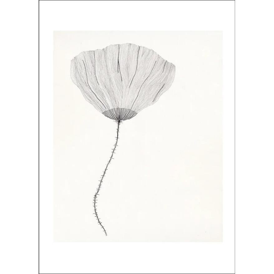 Posters （Art） - 【30x40cm】THE POSTER CLUB x Ana Frois - Poppy | アートプリント/アートポスター 北欧 デンマーク