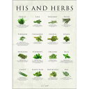 【30x40cm】Simon Holst - His and herbs | 30x40cm アートプリント/アートポスター 北欧 デンマーク