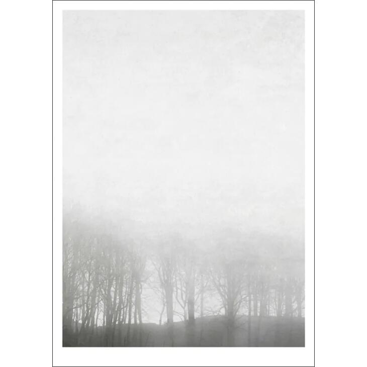 y30x40cmzIngrey Studio - Morning Fog | A[gvg/A[g|X^[ k f}[N ʐ^ i