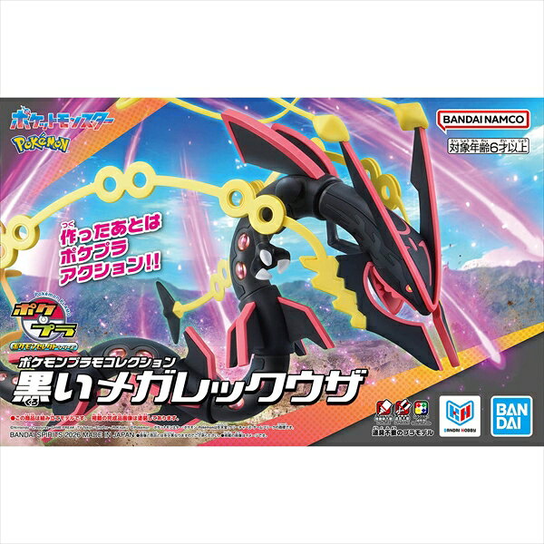 製品画像：24位