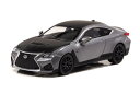 CARNEL 1/64 NTX RC F 