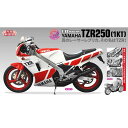 nZK 1/12 }n TZR250(1KT) SV^ XP[f BK11