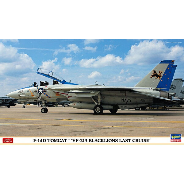 ハセガワ 1/72 F-14D トムキャット “VF-213 ブラックライオンズ ラストクルーズ” スケールモデル 02406