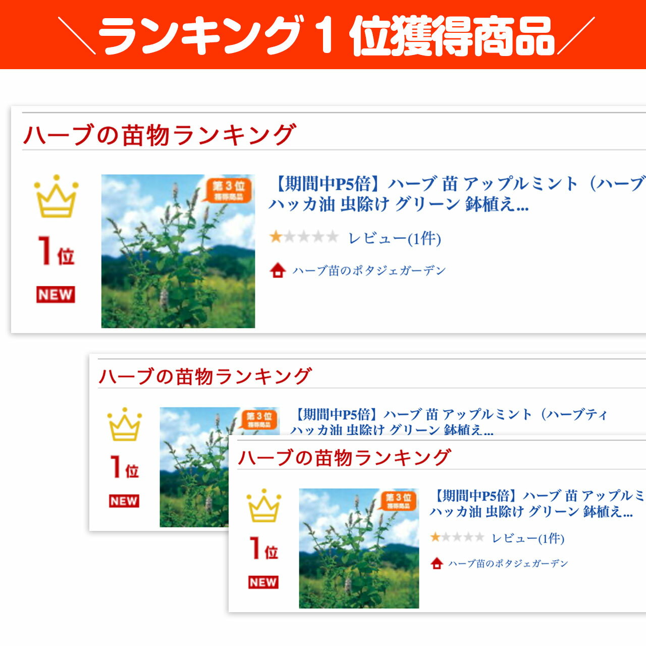 【本日P2倍】 ハーブ 苗 アップルミント（ハーブティ ハッカ油 虫除け グリーン 鉢...