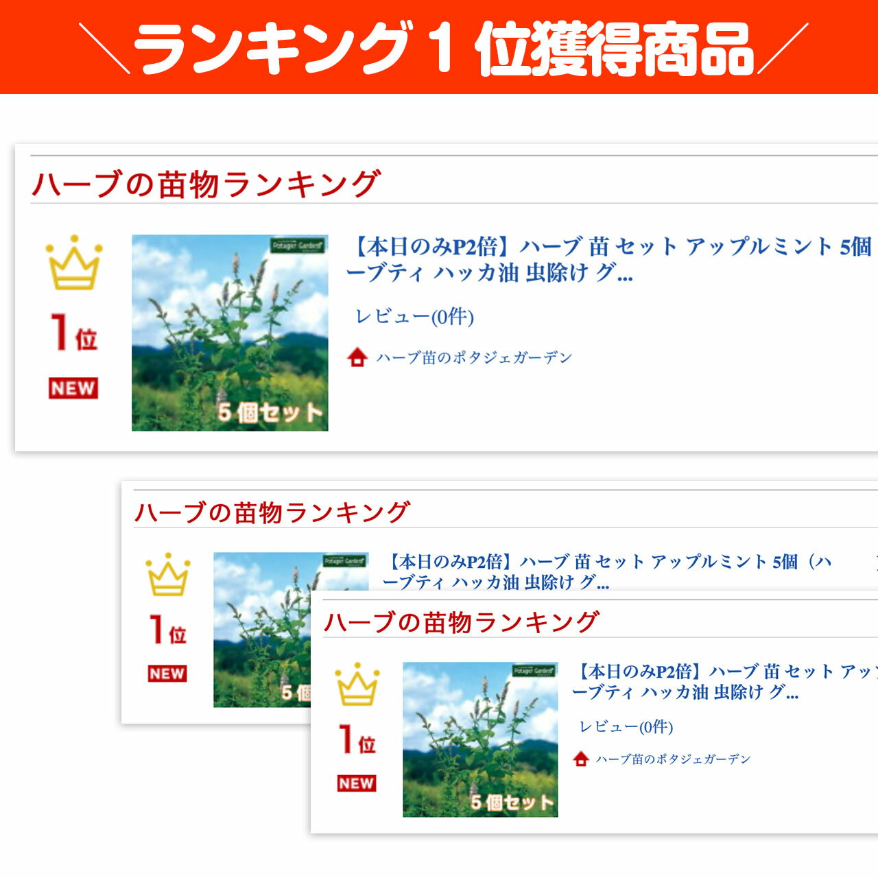 【本日P2倍】 ハーブ 苗 セット アップルミント 5個（ハーブティ ハッカ油 虫除け ...
