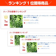 楽天市場 本日p2倍 ハーブ 苗 ニホンハッカ ノースミント ハーブティ ハッカ油 虫除け グリーン 鉢植え 栽培方法 育て方 使い方 選び方 種類 花苗 簡単 プランター 栽培キット ミントグリーン ラベンダー バジル ローズマリー 寄せ植え 野菜 種 春 夏 秋 冬 ハッカm 楽天市場 本日p2倍 ハーブ 苗 ニホンハッカ ノースミント ハーブティ ハッカ油 虫除け グリーン 鉢植え 栽培方法 育て方 使い方 選び方 種類 花苗 簡単 プランター 栽培キット ミントグリーン ラベンダー バジル ローズマリー 寄せ植え 野菜 種 春 夏 秋 冬 ハッカm