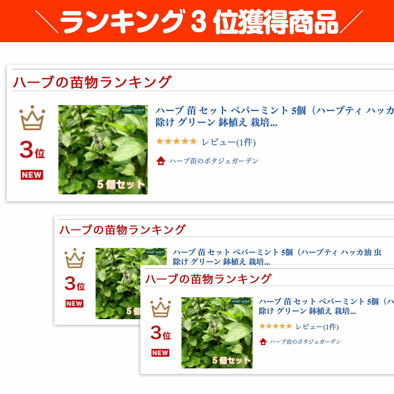 【本日P2倍】 ハーブ 苗 セット ペパーミント 5個（ハーブティ ハッカ油 虫除け グ...