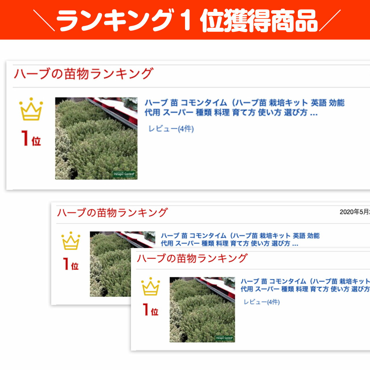 ハーブ本来の香りが自慢のハーブ苗 タイムの代表で小さくかわいい花を咲かせます ハーブ 苗 コモンタイム ハーブ苗 栽培キット 英語 効能 代用 スーパー 種類 料理 育て方 使い方 選び方 バジル 花苗 水耕栽培 種 ローズマリー 寄せ植え ミント 鉢植え ラベンダー 送料