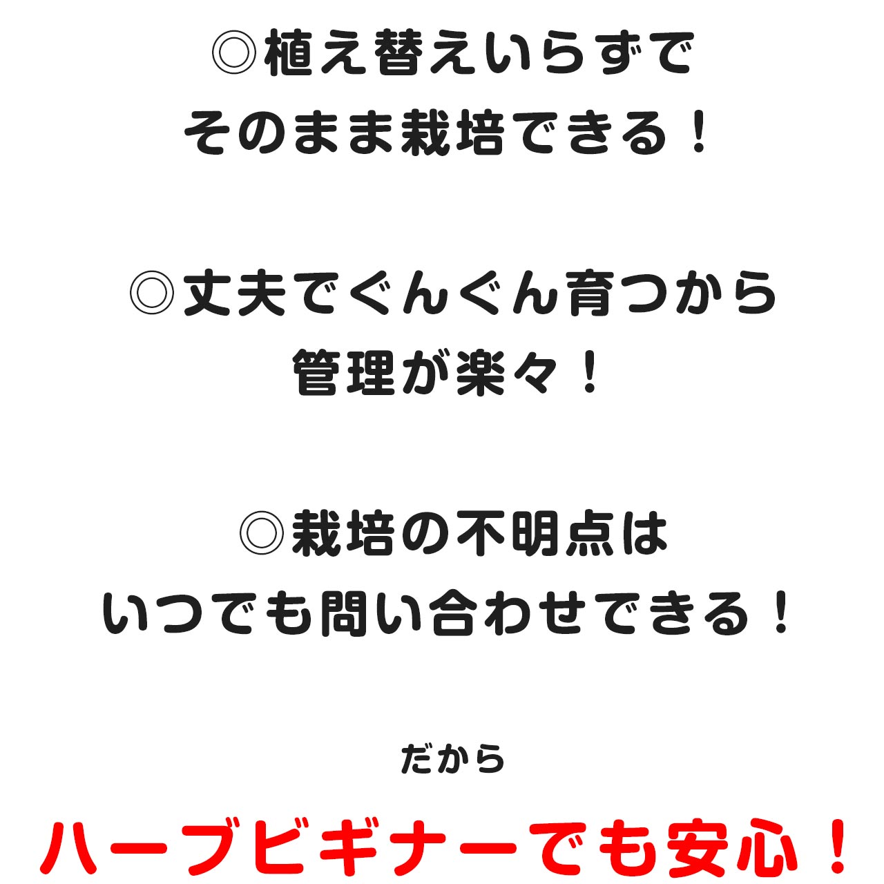 【本日P2倍】 ハーブ キッチン お料理向け 苗 3種セット（苗 セット プラ製プランター かわいい 寄せ植え ハーブティー ハーブガーデン 観葉植物 送料無料 バジル ローズマリー ミント 花苗 苗木 家庭菜園 女子力 鉢植え 土 herb）