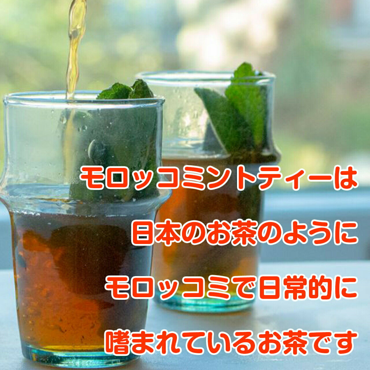 【本日P2倍】 ハーブ 苗 モロッコミント（ミントティ ハッカ油 グリーン 鉢植え 栽...