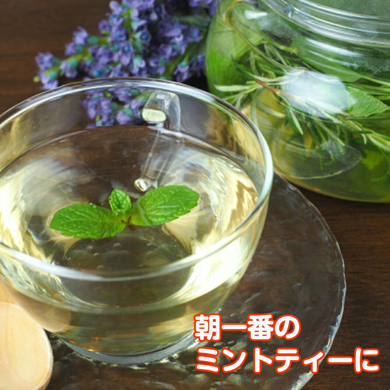 料理 デザート ハーブティに大活躍 ハーブを代表するミント ハーブ本来の香りが自慢のハーブ苗 ハーブ 苗 最大92 オフ セット スペアミント 10個 ハーブティー ハッカ油 虫除け グリーン 鉢植え 栽培方法 育て方 寄せ植え ラベンダー 選び方 種より苗 秋 プランター